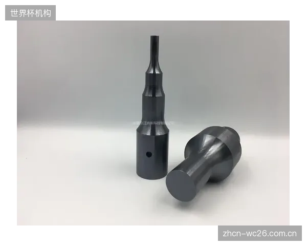 为何大量体育用品工厂宁愿高价采购整体模具，也不愿投资培养自己的DLC涂层工艺团队？