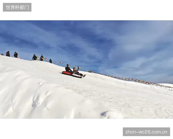 名为“冰雪文旅区”，但滑雪馆的PLC系统却未与旁边的温泉酒店打通，废热白白排入大气，暴露了规划层面的短视